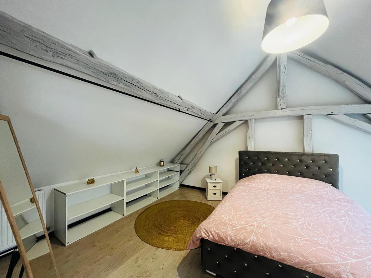 Appartement Ideal Au Coeur D Auxerre Esterno foto